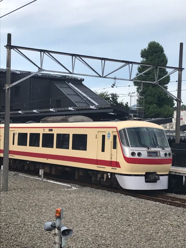 御朱印 SL パレオエクスプレス 秩父