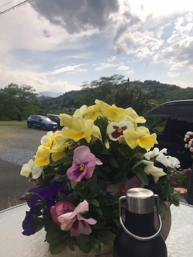 断食 ファスティング ダイエット
