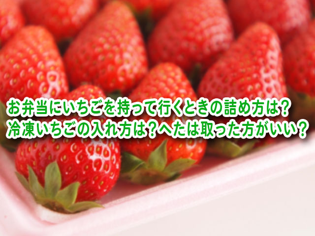 お弁当 いちご 詰め方
