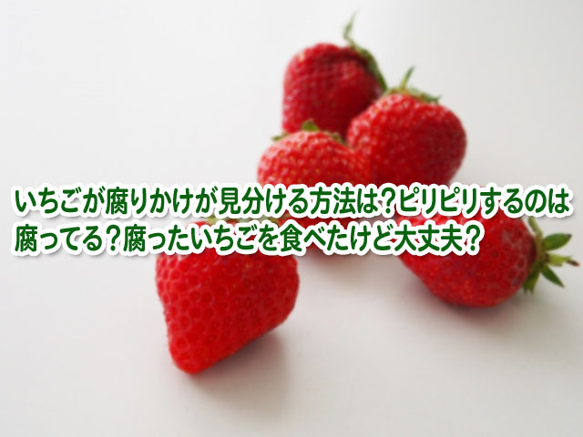 いちごの腐りかけの見分け方は ピリピリするのは腐ってる 腐ったの食べたけど大丈夫 横浜独女のつれづれブログ