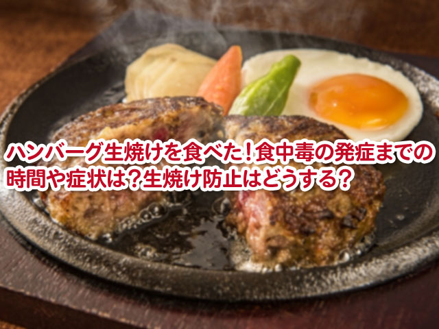 ハンバーグ生焼けを食べた 食中毒の発症までの時間や症状は 生焼け防止はどうする 横浜独女のつれづれブログ