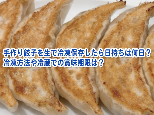 手作り餃子を生で冷凍保存したら日持ちは何日 冷凍方法や冷蔵での賞味期限は 横浜独女のつれづれブログ