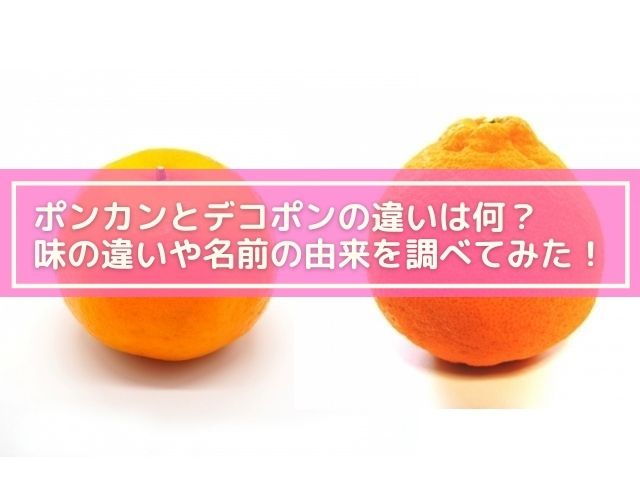 ポンカンとデコポンの違いは何 どちらが甘い 味の違いや名前の由来を調べてみた 横浜独女のつれづれブログ